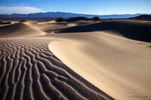 Mesquite Dunes-9877